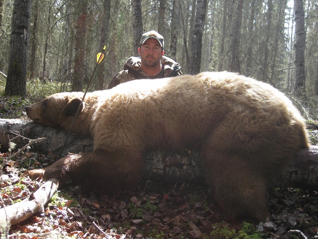 Clayton Boyd Blonde Bear