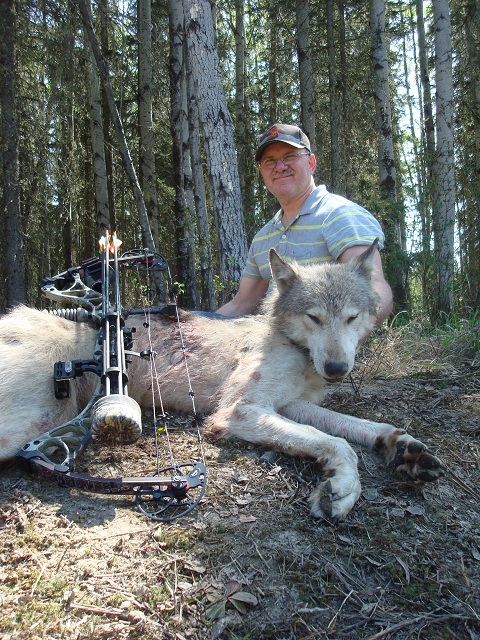 Chuck Davis Archery WOLF!!!