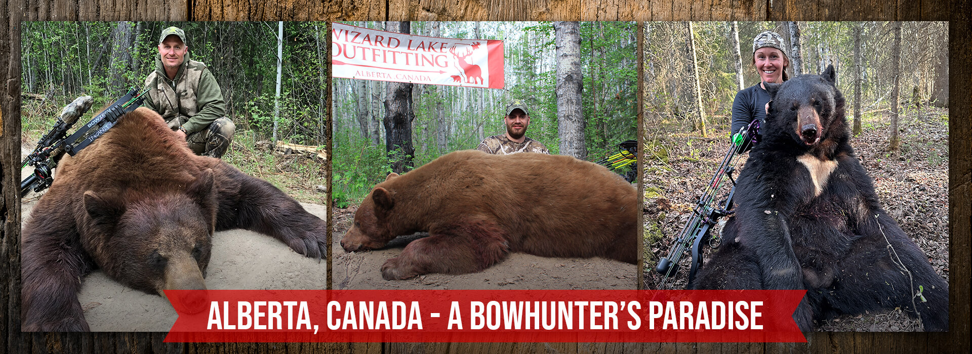 Black Bear Hunts Black Bear Hunts