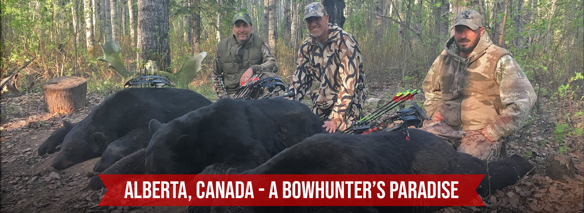 Contact Wizard Lake Outfitting Contact Wizard Lake Outfitting