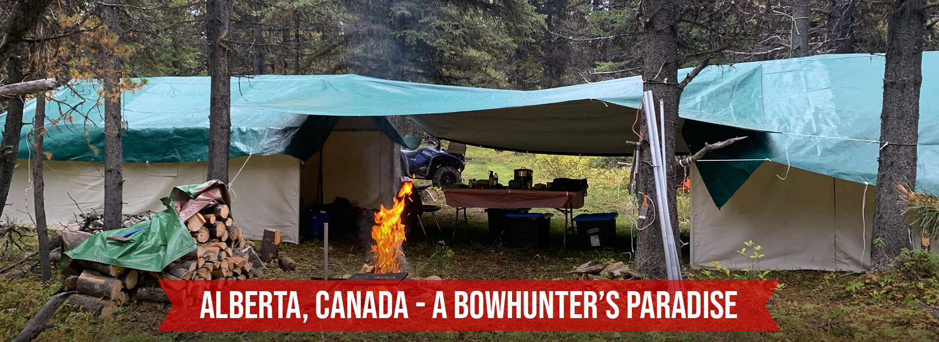 Trip Planner Trip Planner