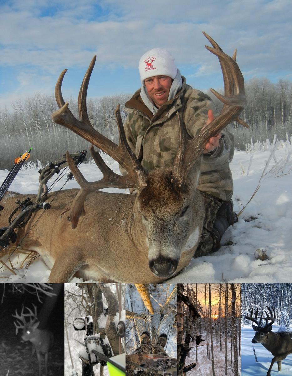 Whitetail Bowhunting