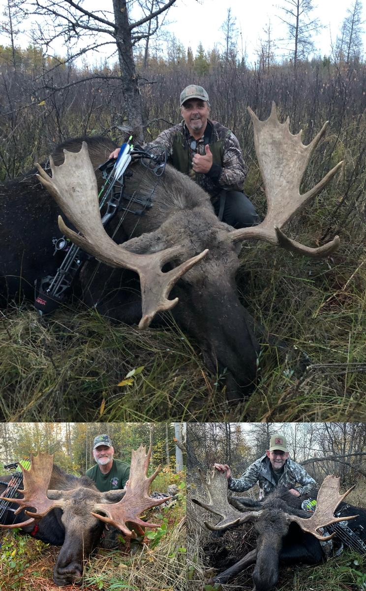 Regular Moose Bowhunt Regular Moose Bowhunt