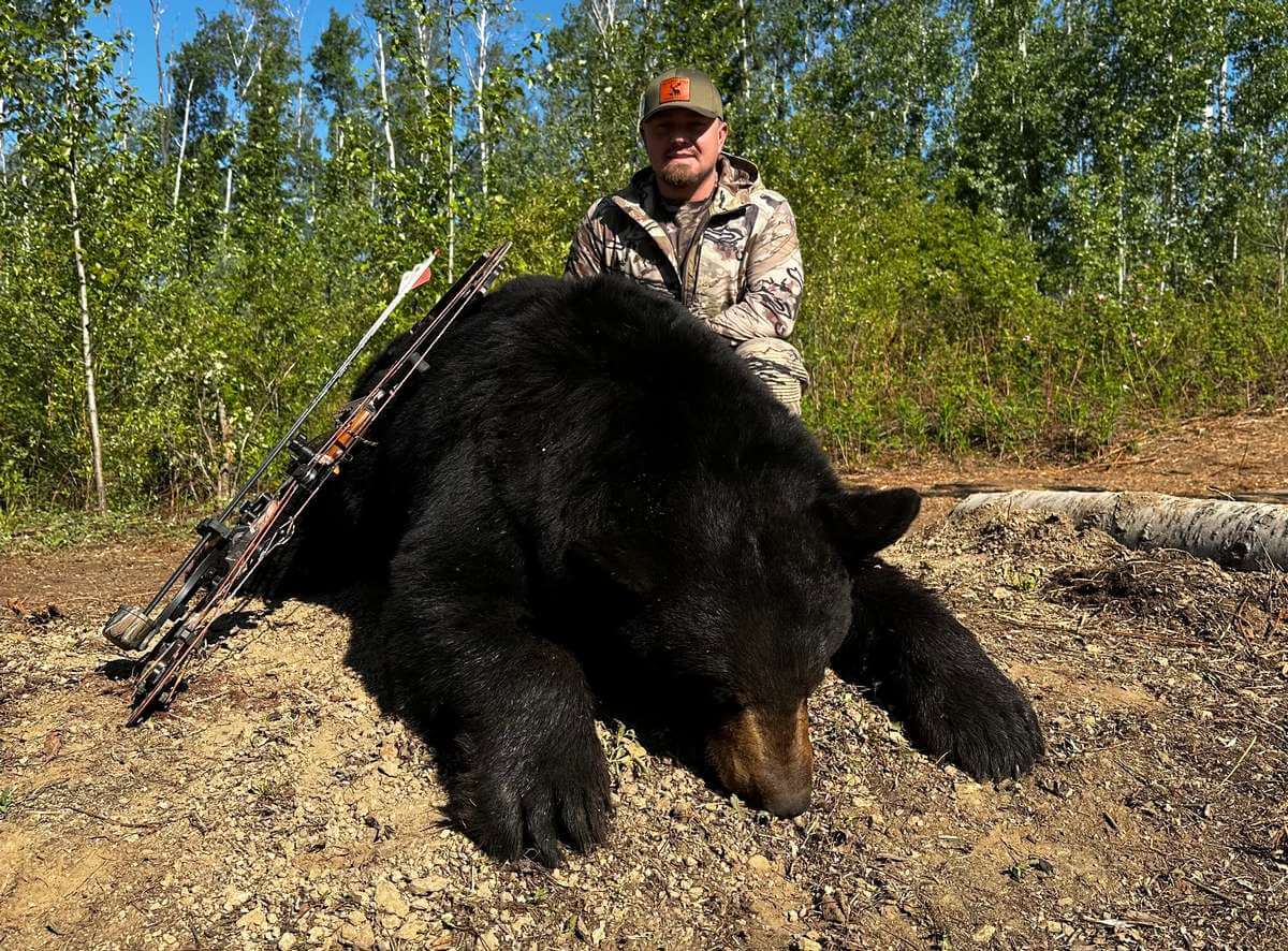 Black Bear Black Bear