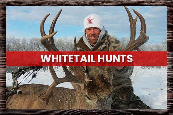 Whitetail Hunts Whitetail Hunts