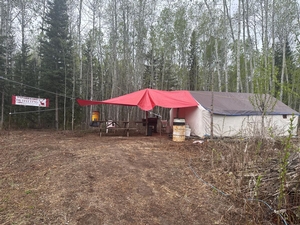 Trophy Black Bear Bowhunting