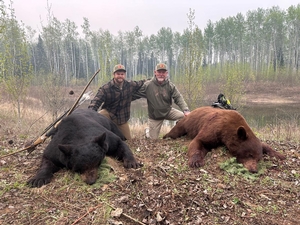 Trophy Black Bear Bowhunting Alberta Canada