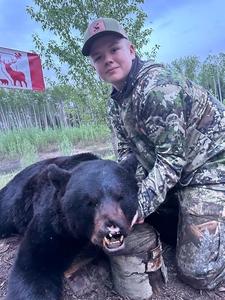 Trophy Black Bear Bowhunting Alberta Canada