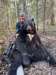 Trophy Black Bear Bowhunting Alberta Canada