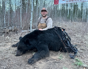 2025 Trophy Black Bear Bowhunting Alberta Canada