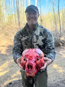 2025 Trophy Black Bear Bowhunting Alberta Canada