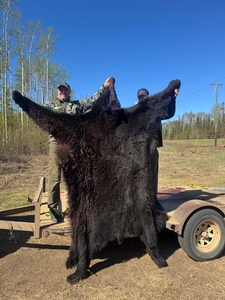 2025 Trophy Black Bear Bowhunting Alberta Canada