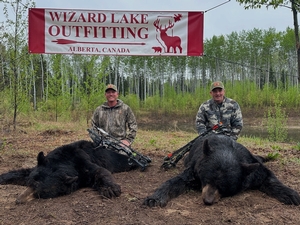 2025 Trophy Black Bear Bowhunting Alberta Canada