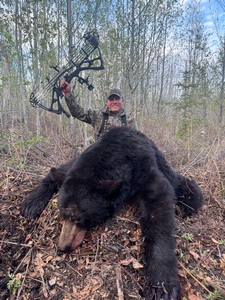 2025 Trophy Black Bear Bowhunting Alberta Canada