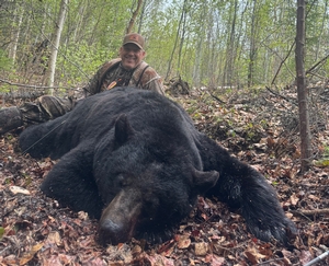 2025 Trophy Black Bear Bowhunting Alberta Canada