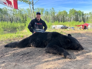 2025 Trophy Black Bear Bowhunting Alberta Canada