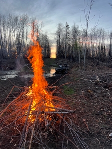 2025 Trophy Black Bear Bowhunting Alberta Canada