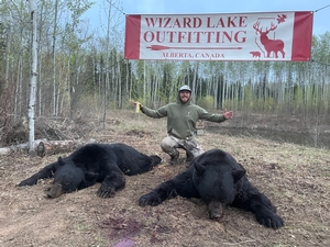 2025 Trophy Black Bear Bowhunting Alberta Canada