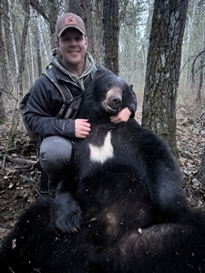 2025 Trophy Black Bear Bowhunting Alberta Canada